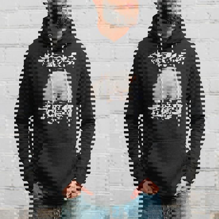 面白いtシャツ ポメラニアン やる気スイッチ イヌ メンズ 犬好き グッズ おもしろ 面白い 服 ネタ パーカー 彼への贈り物