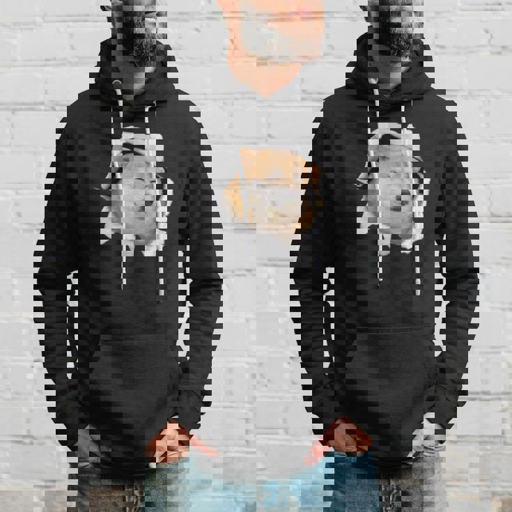 面白いtシャツ 柴犬 シバイヌ 犬 イヌ わんこ メンズ 犬好き グッズ かわいい 面白い 服 ネタ パーカー 彼への贈り物