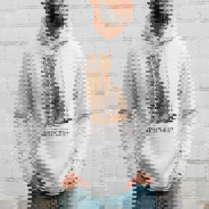 Mischief In Fur 猫写真 キジトラ 猫好き ネタ 猫しもべ 猫飼い 猫依存症 猫オーナー パーカー 彼への贈り物