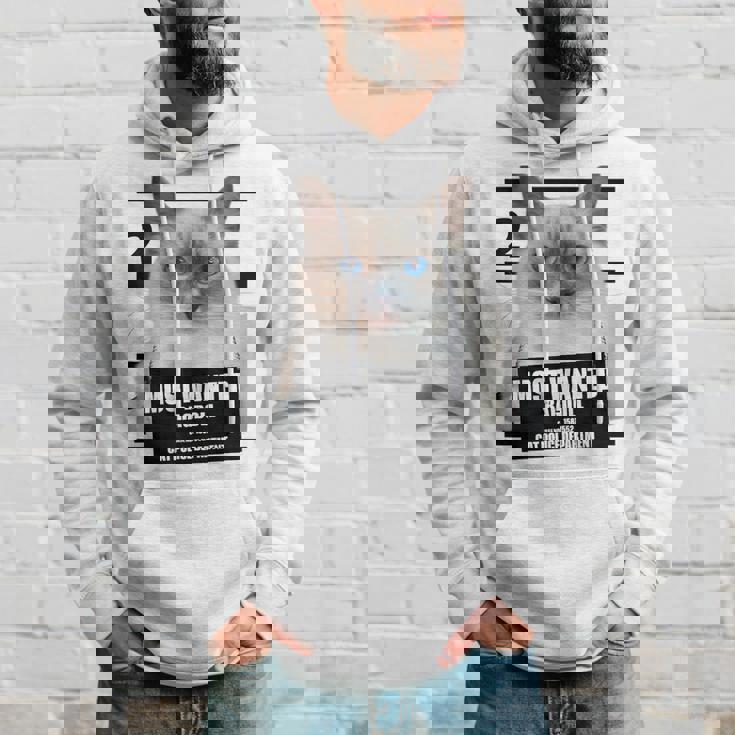 Most Wanted ラグドール ラグドール 猫 パーカー 彼への贈り物