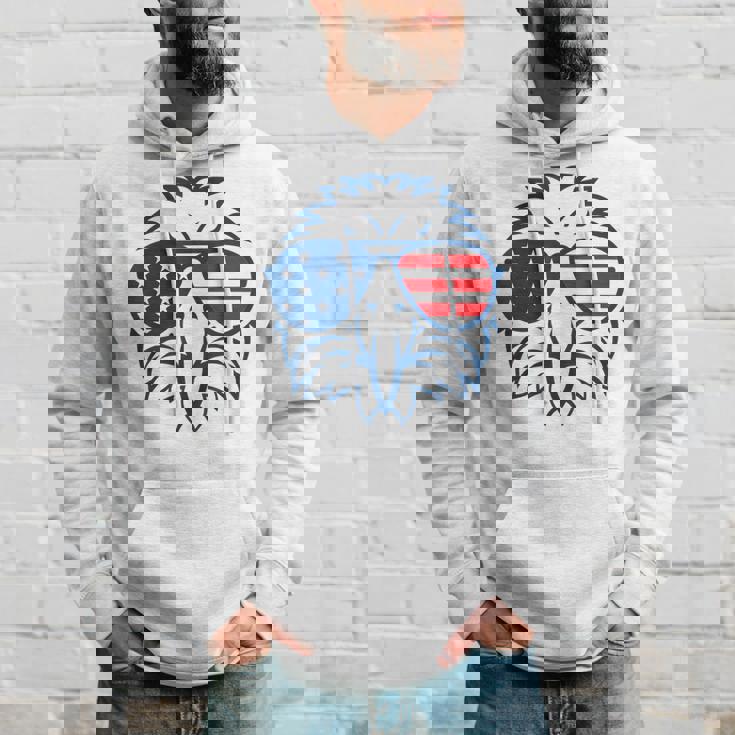 アメリカン・イーグル アメリカ国旗 7月4日 愛国 パーカー 彼への贈り物