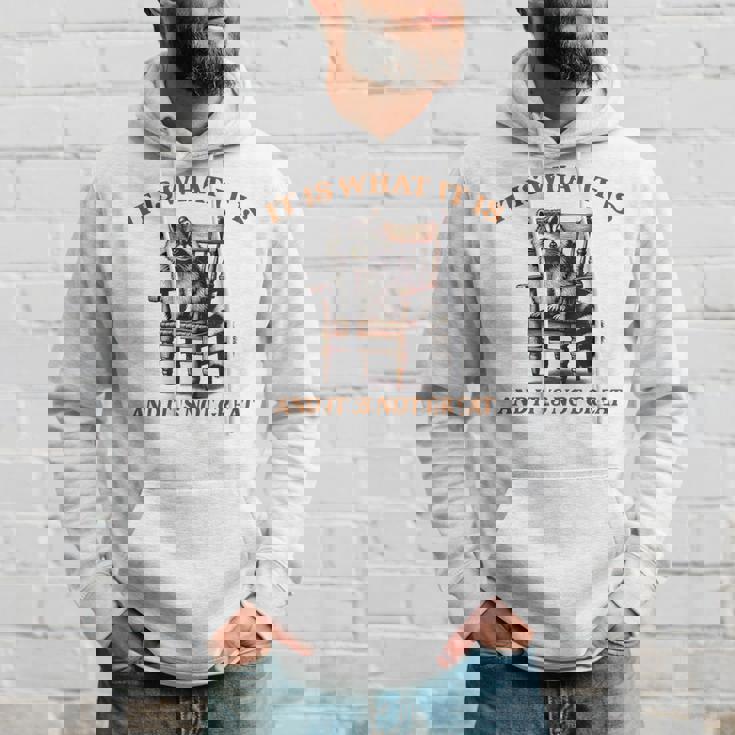 アライグマのミーム It's What It's And It Is Not Greatarcastic パーカー 彼への贈り物