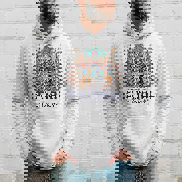 イスタンブール、トルコ 猫の街 Ii パーカー 彼への贈り物