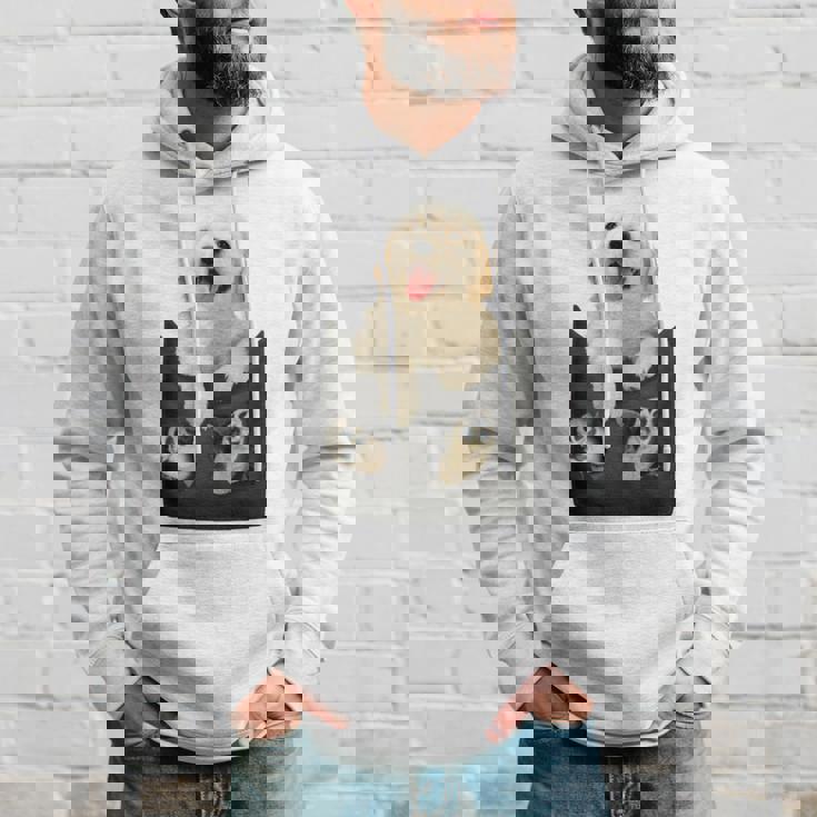 ゴールデンレトリバー ポケットに入った子犬 長袖tシャツ パーカー 彼への贈り物