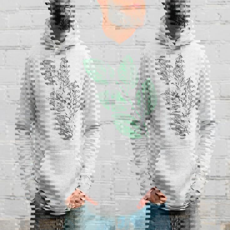 ブナの葉 植物 自然と森林 木のグラフィックス パーカー 彼への贈り物