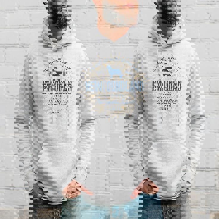 ヴィンテージ ニューファンドランド レトロ パーカー 彼への贈り物