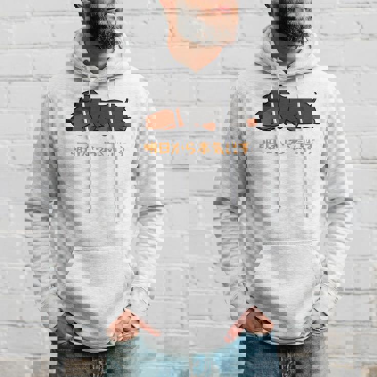 犬 おもしろ 明日から本気出す 可愛い ダックスフンド ミニチュアダックスフンド 長袖tシャツ パーカー 彼への贈り物