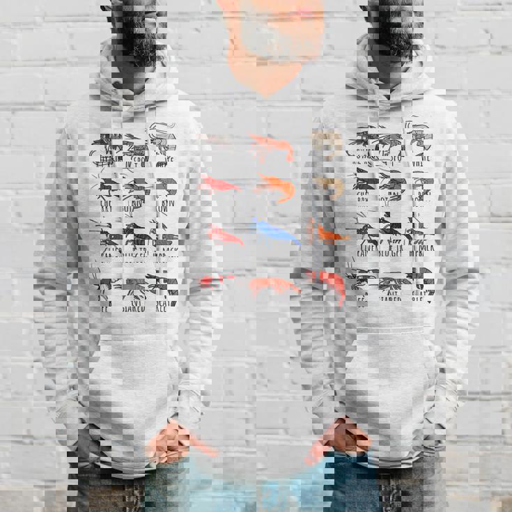 異なるタイプのエビの品種コレクション、かわいいエビ愛好家。 パーカー 彼への贈り物