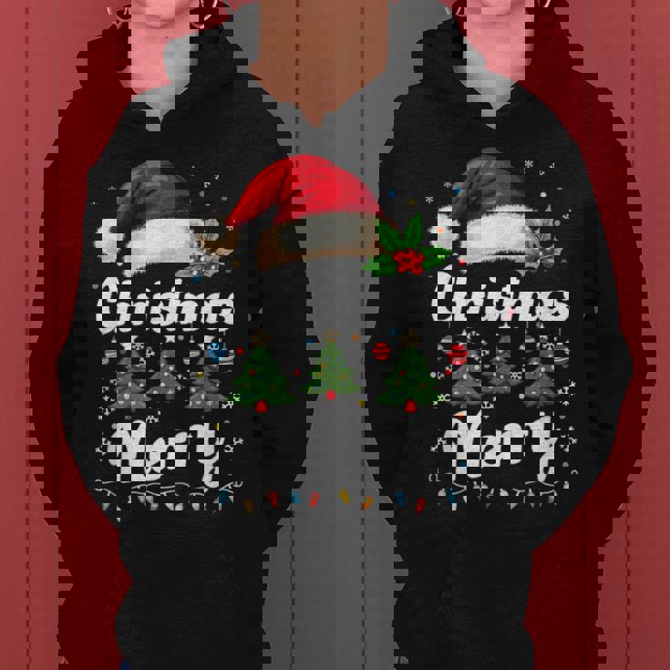 メリークリスマスライト 赤いサンタ帽子 クリスマス ファミリー 男性 女性 レディースパーカー