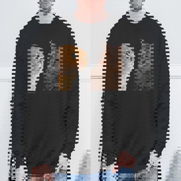 2匹の猫がミームを話す スウェットシャツ 高齢者への贈り物