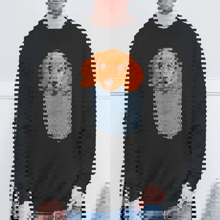 Beagle In My Pocket シャツ かわいい子犬 ダックスフンド ドッグシャツ スウェットシャツ 高齢者への贈り物