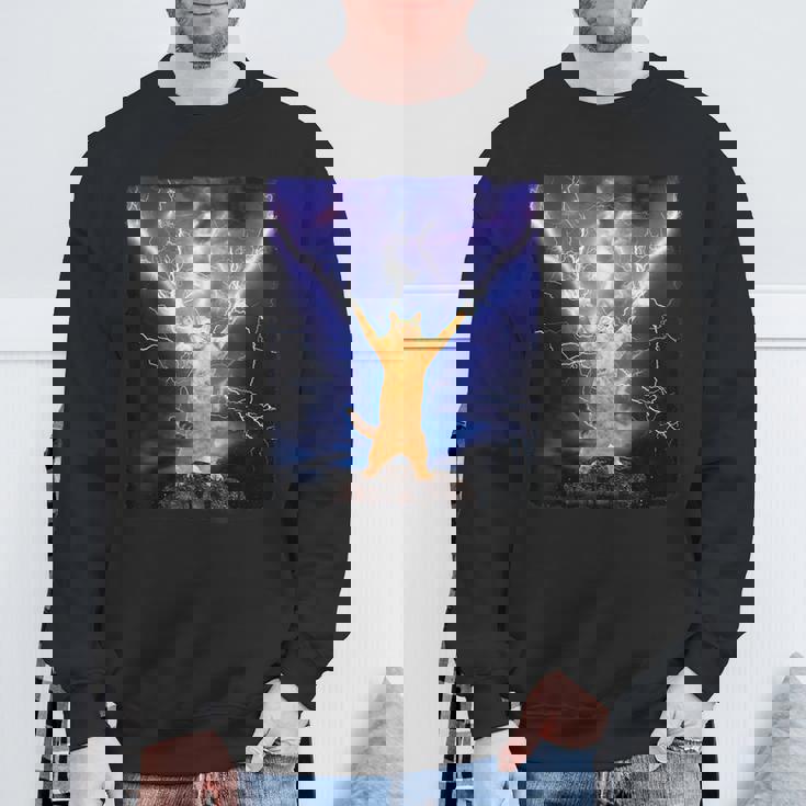 Cat Merch おかしな猫 稲妻 サンダーボルト オン マウンテン スウェットシャツ 高齢者への贈り物