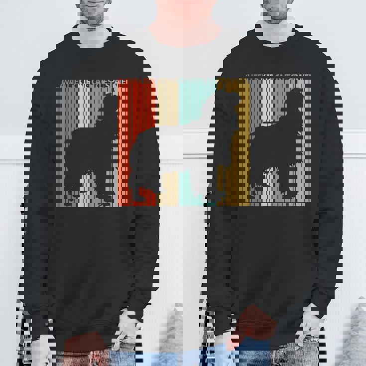 Cavalier King Charlespaniel キャバリア・キング・チャールズ・スパニエル スウェットシャツ 高齢者への贈り物