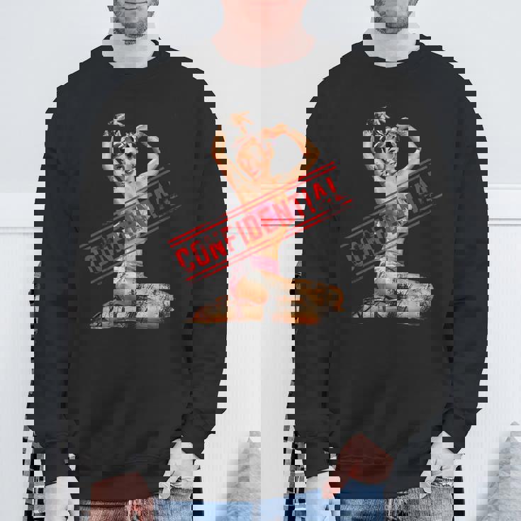 Confidential ピンナップガール スウェットシャツ 高齢者への贈り物