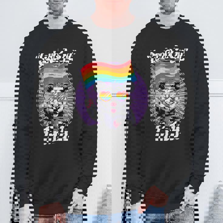 Cute Lgbtq Possum Holding Flag With Sounds Gay Quote Sweatshirt Gifts for Old Men