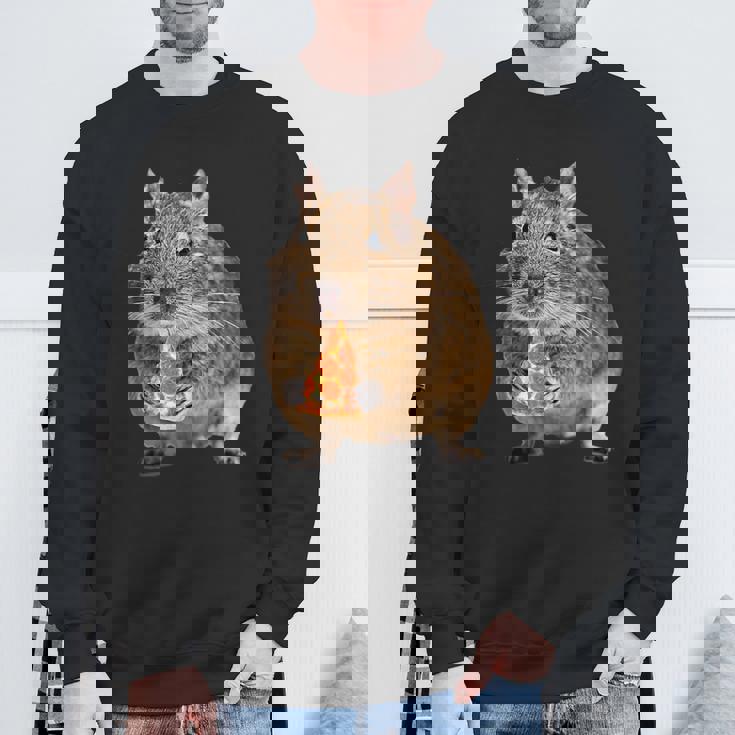 Degu Eating Alice Of Pizza スウェットシャツ 高齢者への贈り物