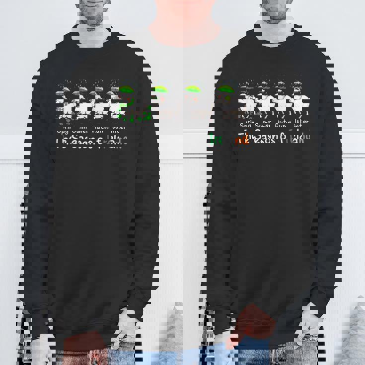 Theeasons Patrick's Day アイルランド 4つのかわいい羊のシャムロック スウェットシャツ 高齢者への贈り物