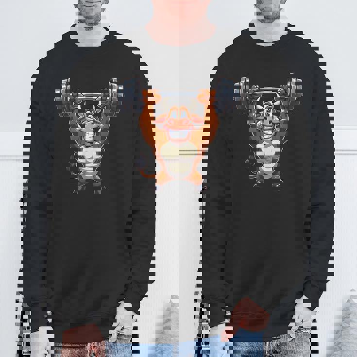 Bull ワークアウト バーベル 牛 フィットネス スウェットシャツ 高齢者への贈り物