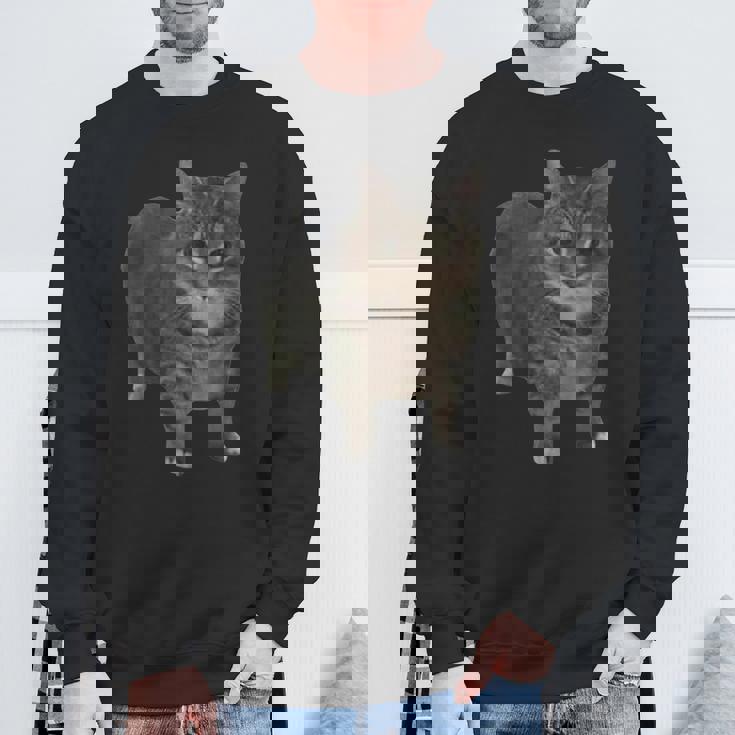 Oiia Oiia スピニングキャットミーム スウェットシャツ 高齢者への贈り物