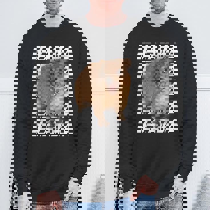 Hyrax ケープハイラックス スウェットシャツ 高齢者への贈り物