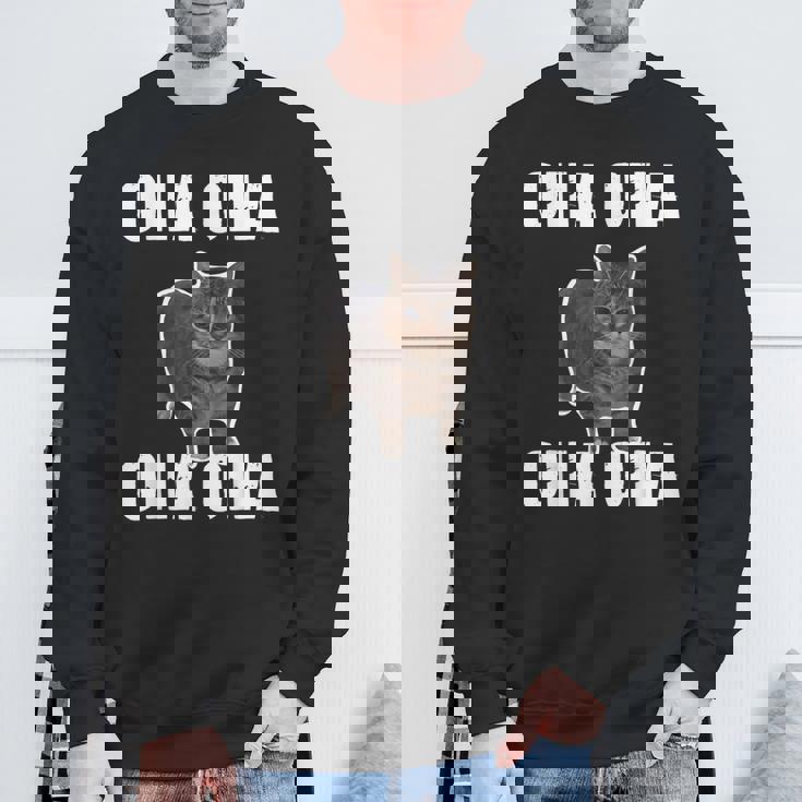 Oiia Oiia スピニング インターネット ミーム 猫 ユーモラス 面白い ブレイン スウェットシャツ 高齢者への贈り物