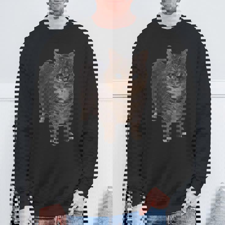 Oiia Oiia 猫 面白い 回転する猫 ミーム スウェットシャツ 高齢者への贈り物