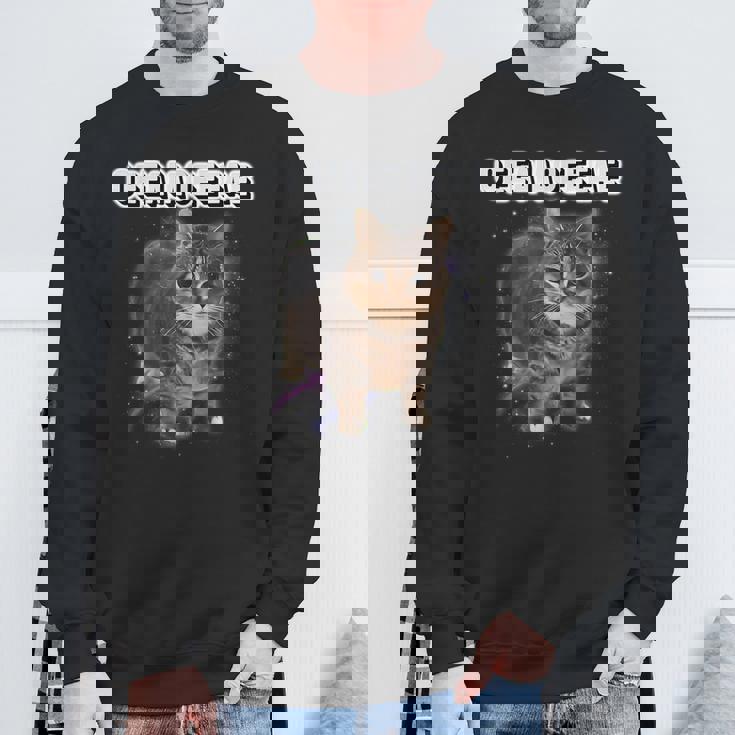 Oiiaoiia 猫 スピニング 猫 ミーム ファニー トレンディ キャット ミーム スウェットシャツ 高齢者への贈り物