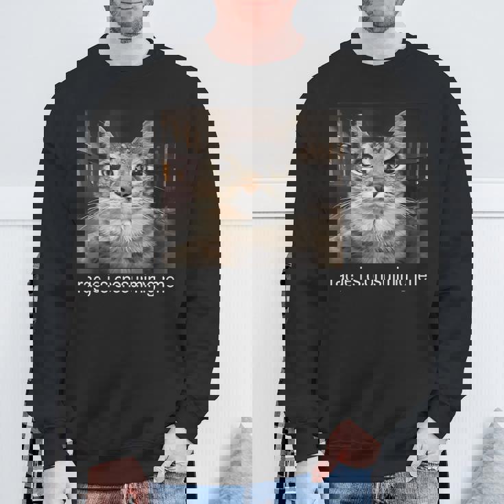 Rage Is Consuming Me 愚かな凝視猫ミーム スウェットシャツ 高齢者への贈り物