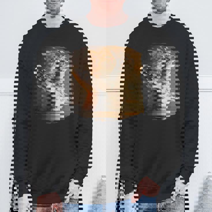 TitaniCムービーにインスパイアされた面白い猫好きのミーム。 スウェットシャツ 高齢者への贈り物