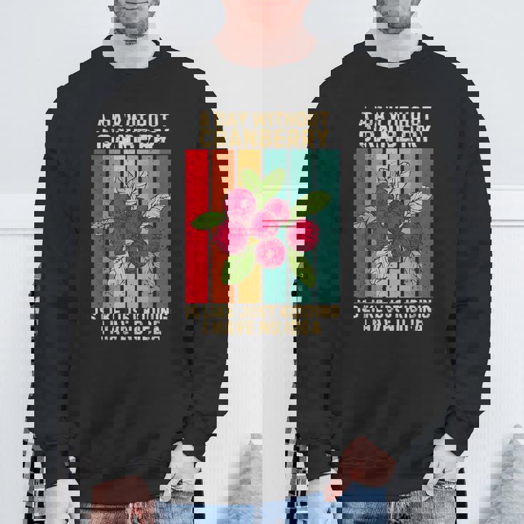 Vintage A Day Without Cranberry I Have No Idea クランベリー スウェットシャツ 高齢者への贈り物