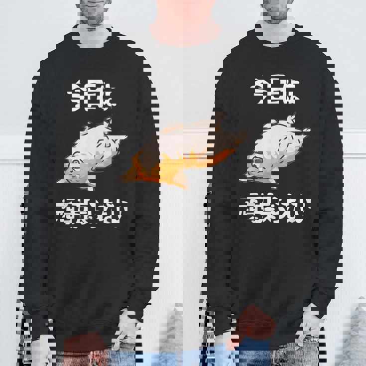 【今日は頑張らない】おもしろ 面白い 文字 ふざけ 文字入り ギャグ ネタ ウケ狙い 名言 笑える ユーモア 文字入れ スウェットシャツ 高齢者への贈り物