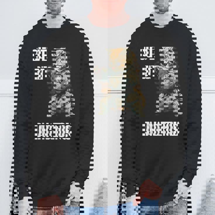 かわいいけど危険な空手 面白い テコンドー 猫 格闘技 スウェットシャツ 高齢者への贈り物