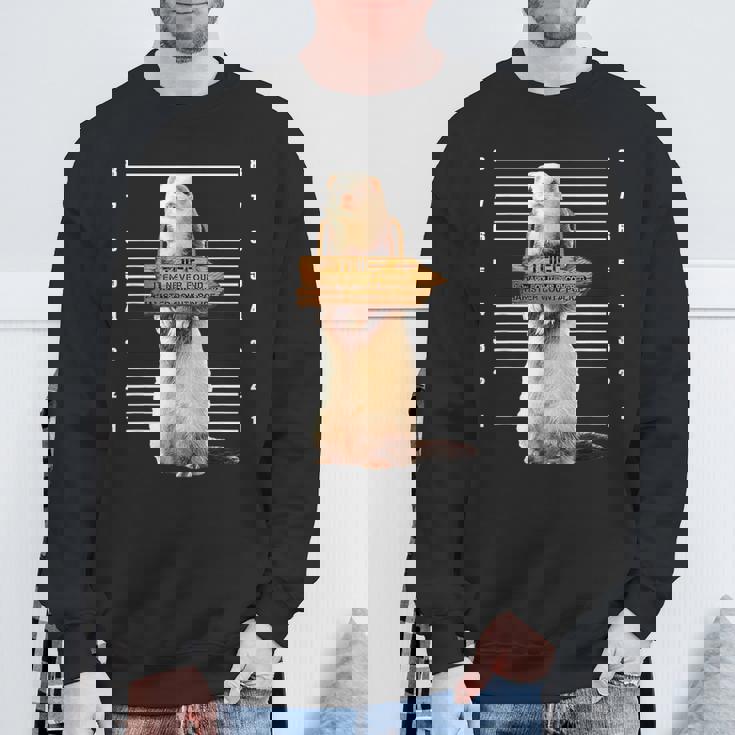 かわいいフェレット泥棒 面白い動物 スウェットシャツ 高齢者への贈り物