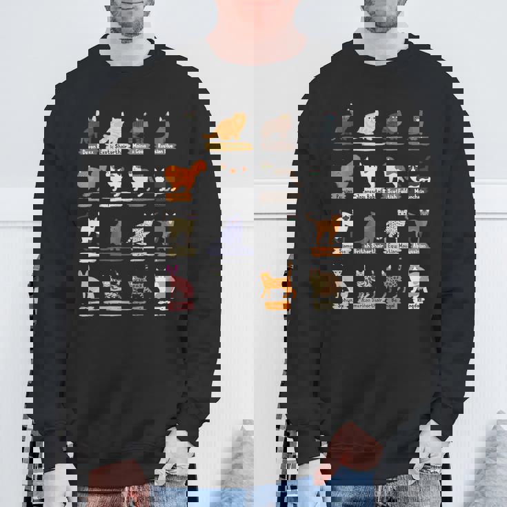 かわいい猫の種類 スウェットシャツ 高齢者への贈り物