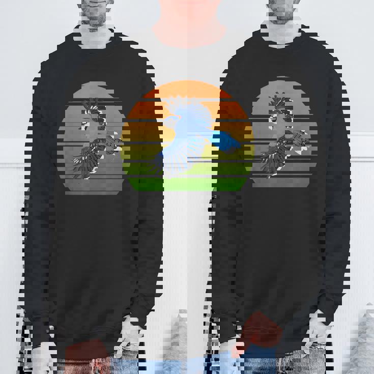 アオカケス 鳥 動物 図 バードウォッチング 贈り物 鳥類学者 生物学者 自然科学 スウェットシャツ 高齢者への贈り物