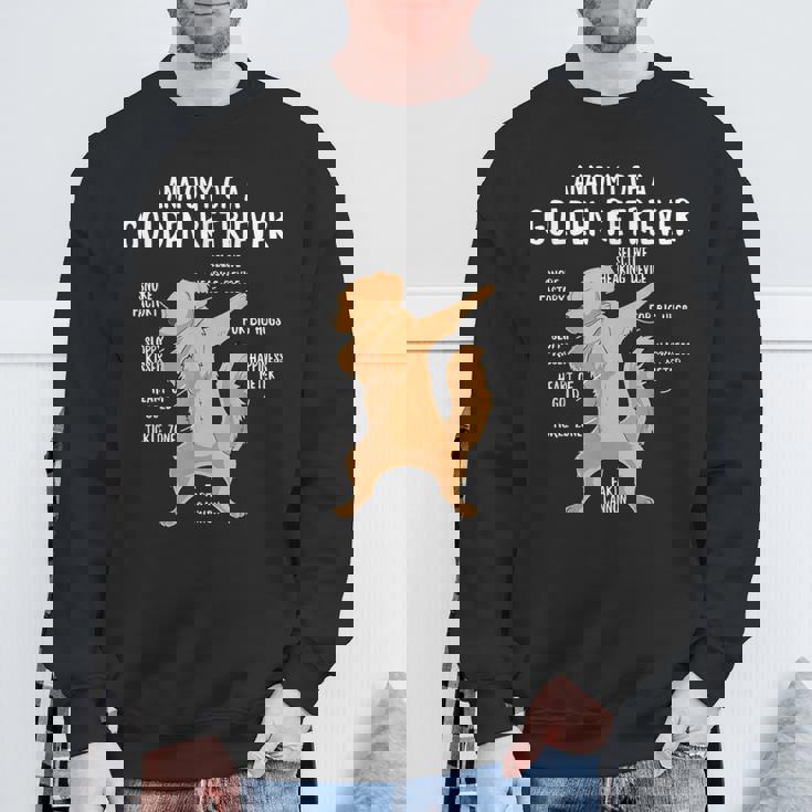 アナトミー・オブ・ア・ゴールデン・レトリバー 犬 オーナー 子犬 面白い キュート スウェットシャツ 高齢者への贈り物