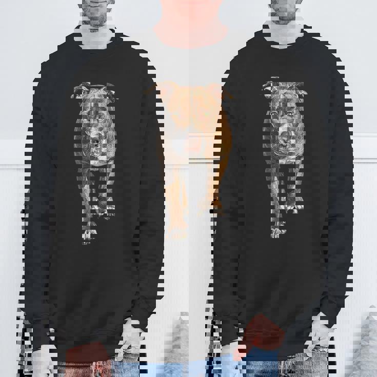 アメリカンピットブルテリア スウェットシャツ 高齢者への贈り物