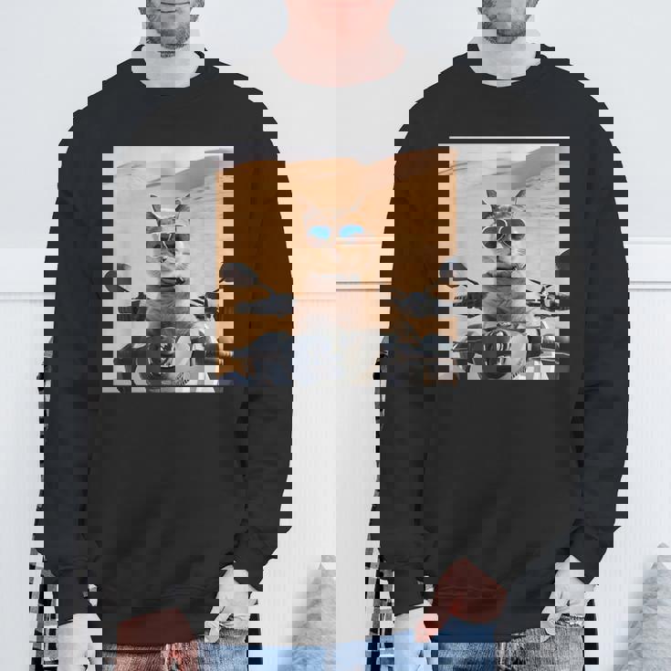 アラビア砂漠でサングラスをかけた猫、ドバイにマッチ。 スウェットシャツ 高齢者への贈り物