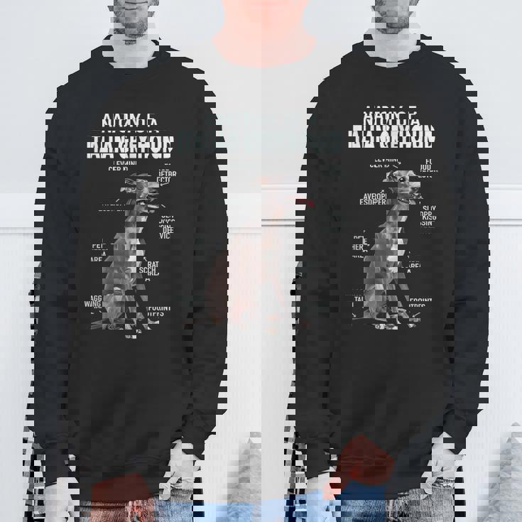 イタリアングレイハウンドの解剖学 スウェットシャツ 高齢者への贈り物