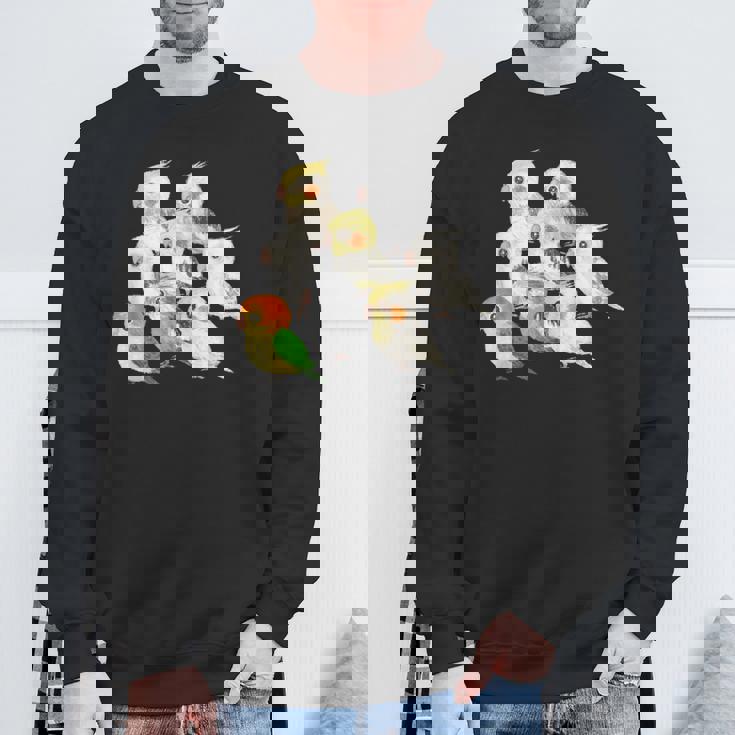 インコ かわいい 小鳥 ペット おもしろ 動物 イラスト スウェットシャツ 高齢者への贈り物