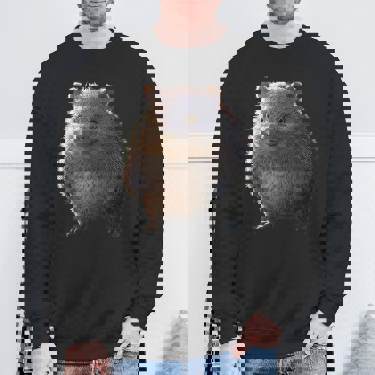 ウォンバット オーストラリア 有袋類 スイートウォンバット スウェットシャツ 高齢者への贈り物