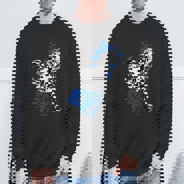 ウマ娘 プリティーダービー メイショウドトウ スウェットシャツ 高齢者への贈り物