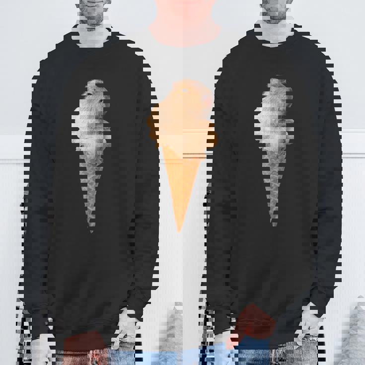 カピバラ アイスクリーム コーン おもしろ かわいい スウェットシャツ 高齢者への贈り物