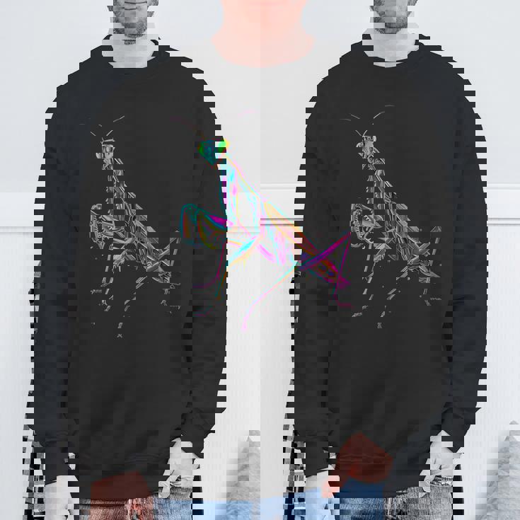 カマキリ カラフル 虫 昆虫 昆虫学 昆虫学者 スウェットシャツ 高齢者への贈り物