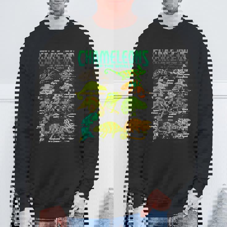 カメレオンズ・オブ・ザ・ワールド 知育爬虫類 トカゲ好き スウェットシャツ 高齢者への贈り物