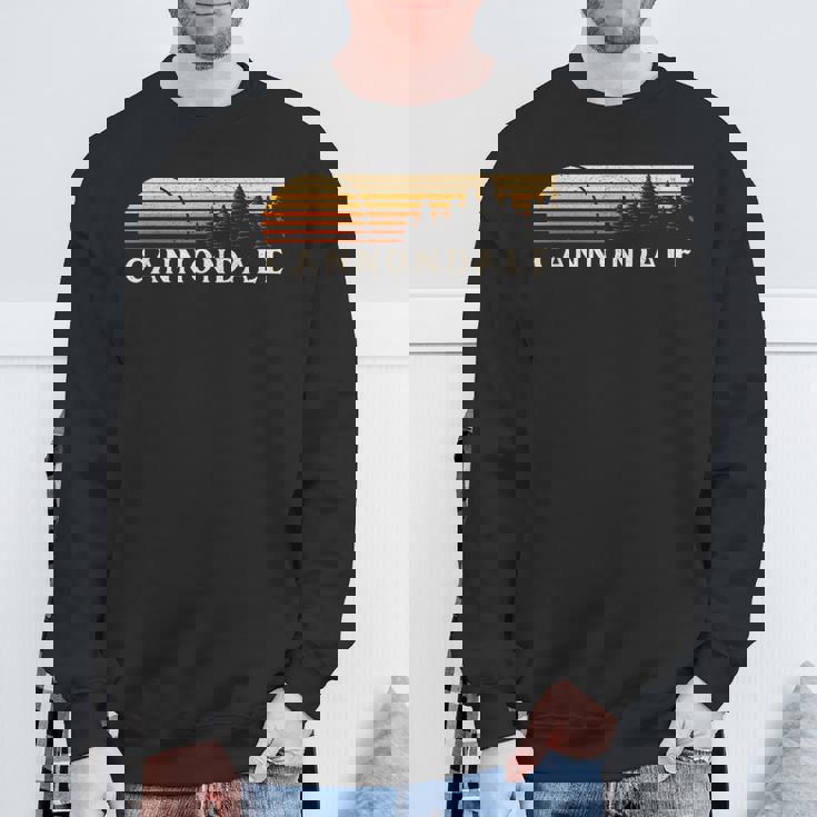 キャノンデール、Ct ヴィンテージ エバーグリーン サンセット 80年代 レトロ スウェットシャツ 高齢者への贈り物