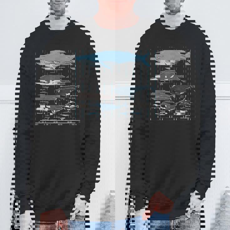 クジラの種類 スウェットシャツ 高齢者への贈り物