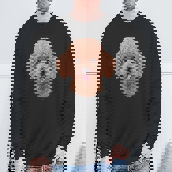 クリーム トイプードル 犬 いぬ 顔 スウェットシャツ 高齢者への贈り物