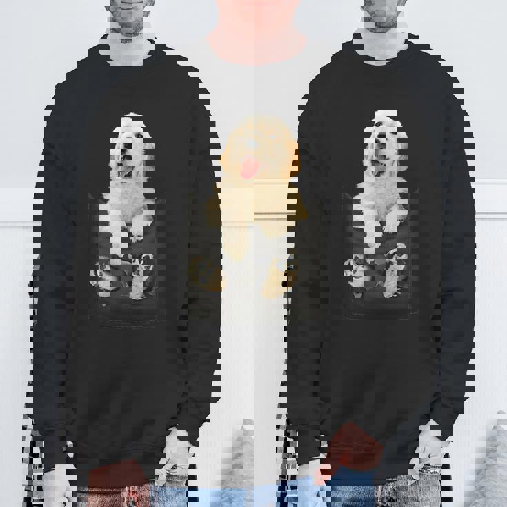 ゴールデンレトリバー ポケットに入った子犬 スウェットシャツ 高齢者への贈り物