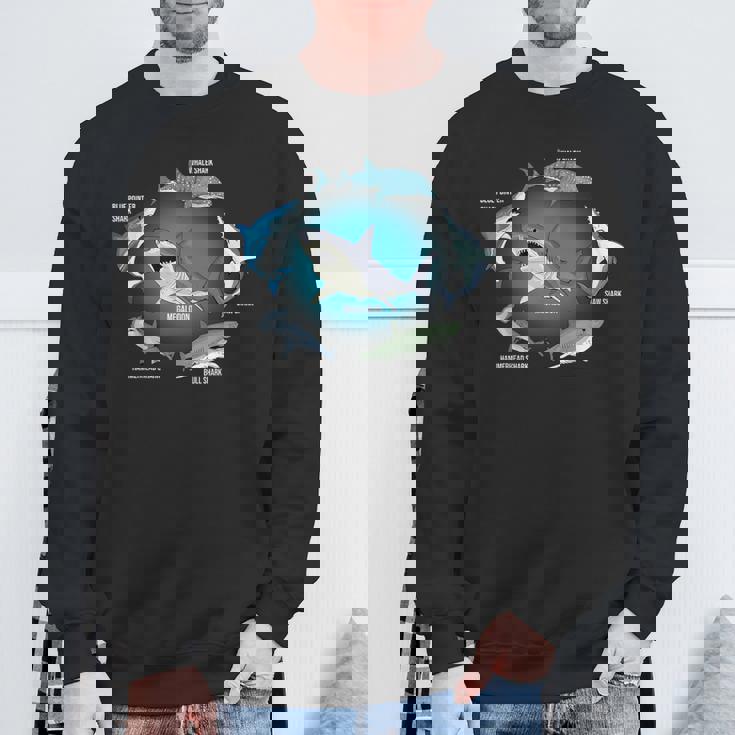 サメ6種 サメタイプ サメ 海の生き物 メガロドン サメ スウェットシャツ 高齢者への贈り物